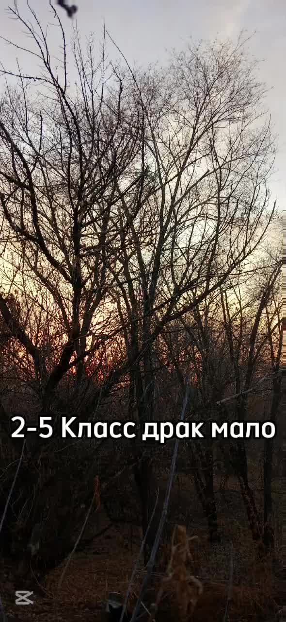 @Al1shkA
