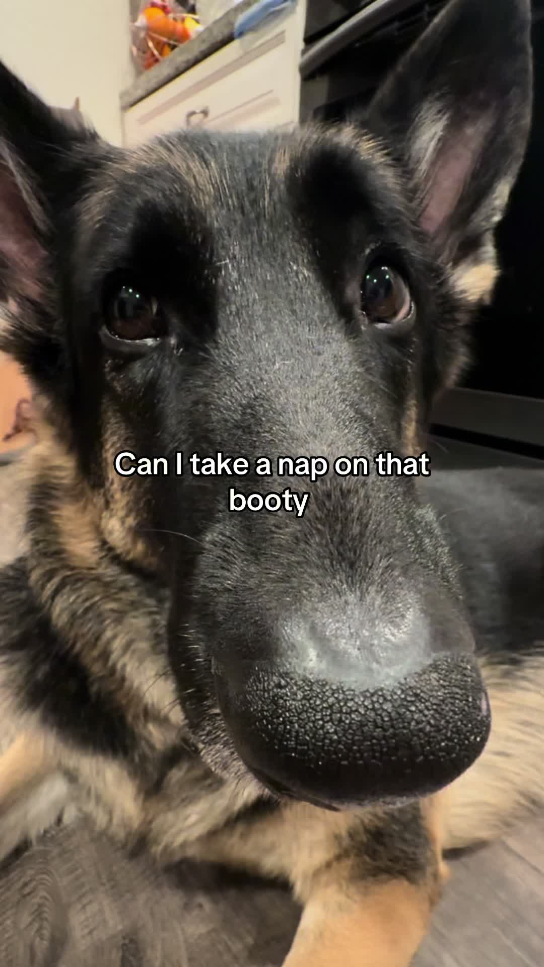 @Bhris