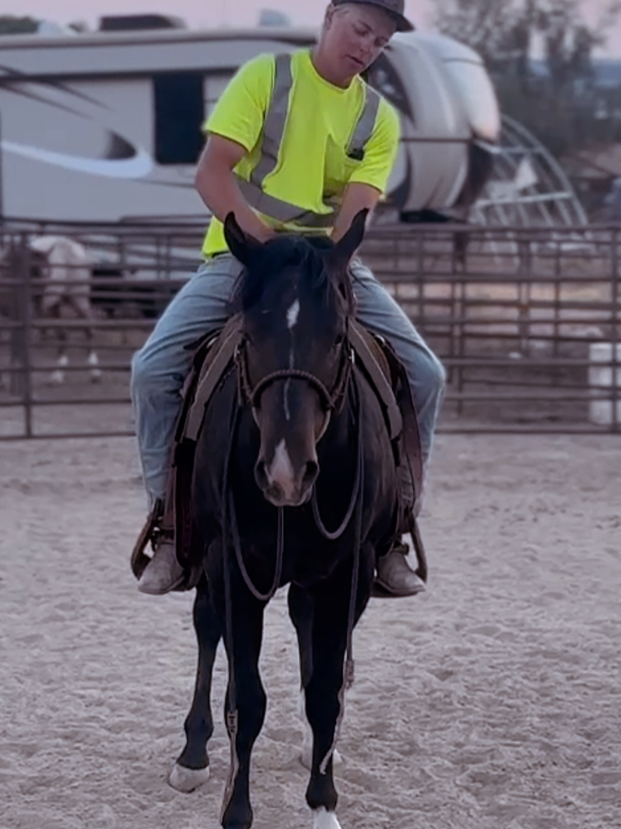 @Olsen Horse & Cattle Co. LLC