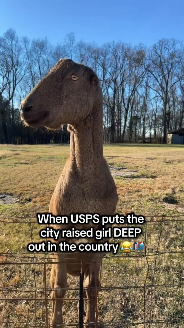 @Mckenzie 615