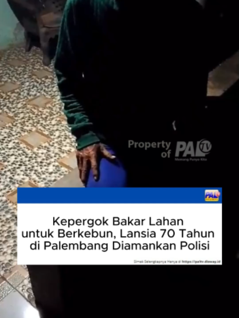 @Paltv-Memang Punyo Kito