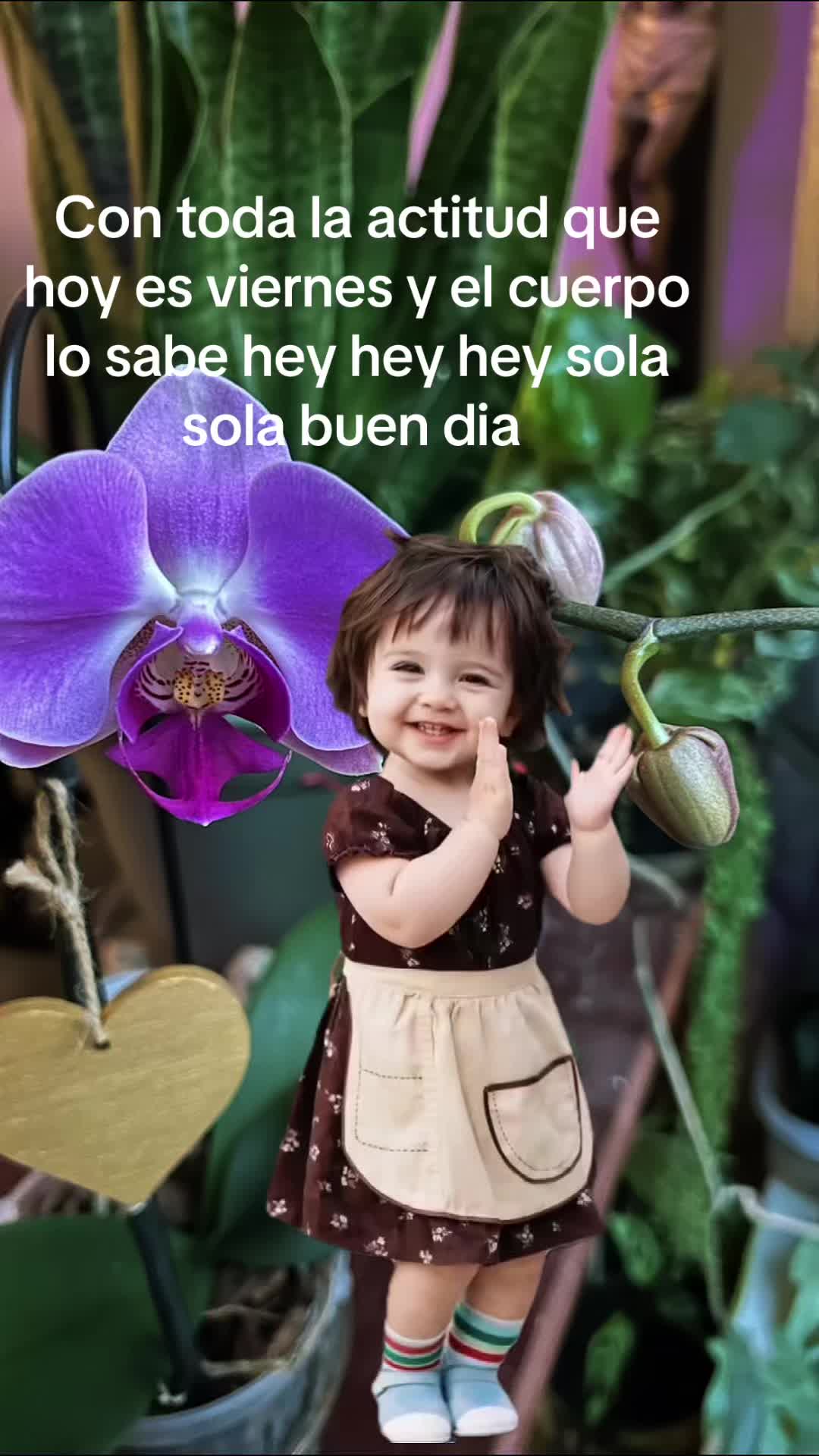 @Paula carreno 🐞🐞🐞