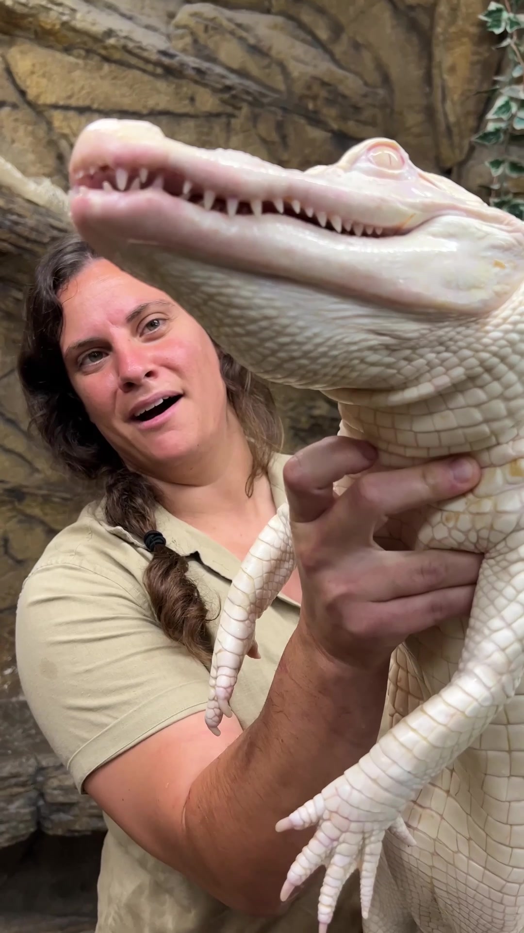 @The Reptile Zoo