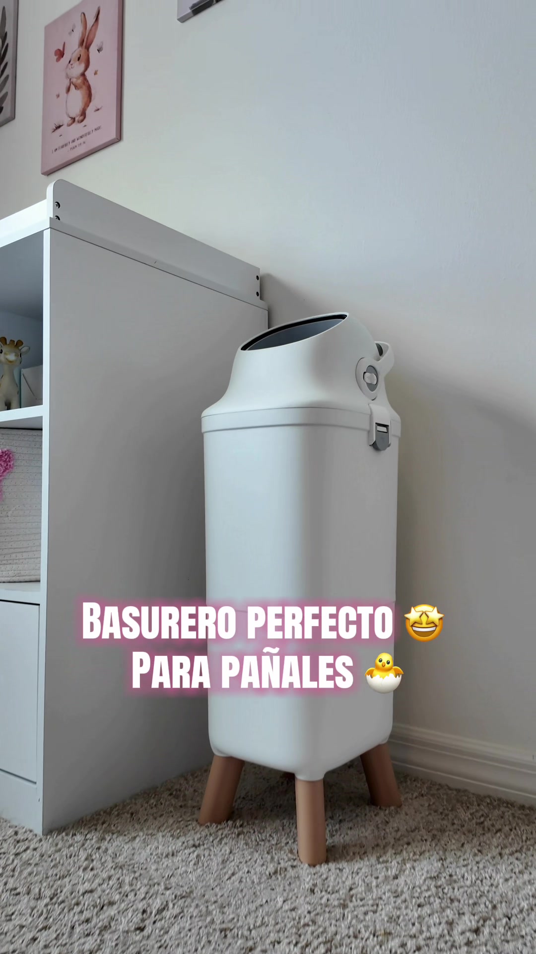 @bambideals