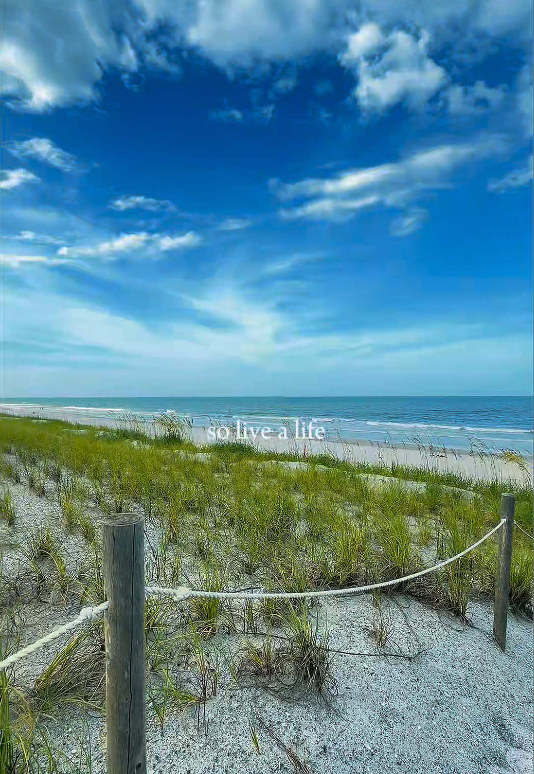@Erin I Tampa Bay FL Realtor 🌴