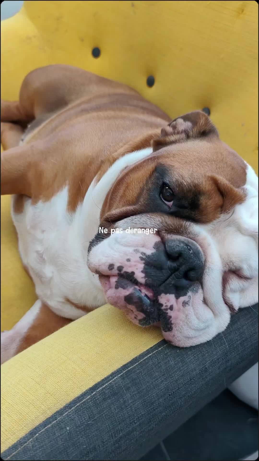 @Leboudoirdeclo