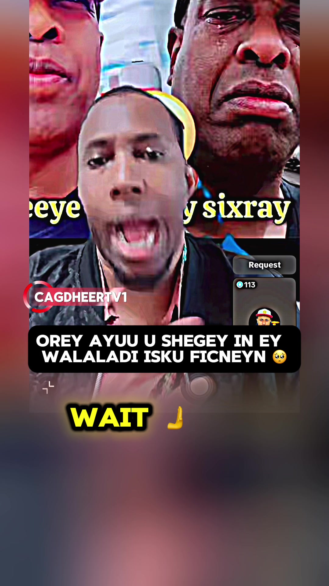 @๐๐ฎ๐ด๐ฑ๐ต๐ฒ๐ฒ๐ฟ ๐๐๐ญ๐ฌ๐ฒ ๐