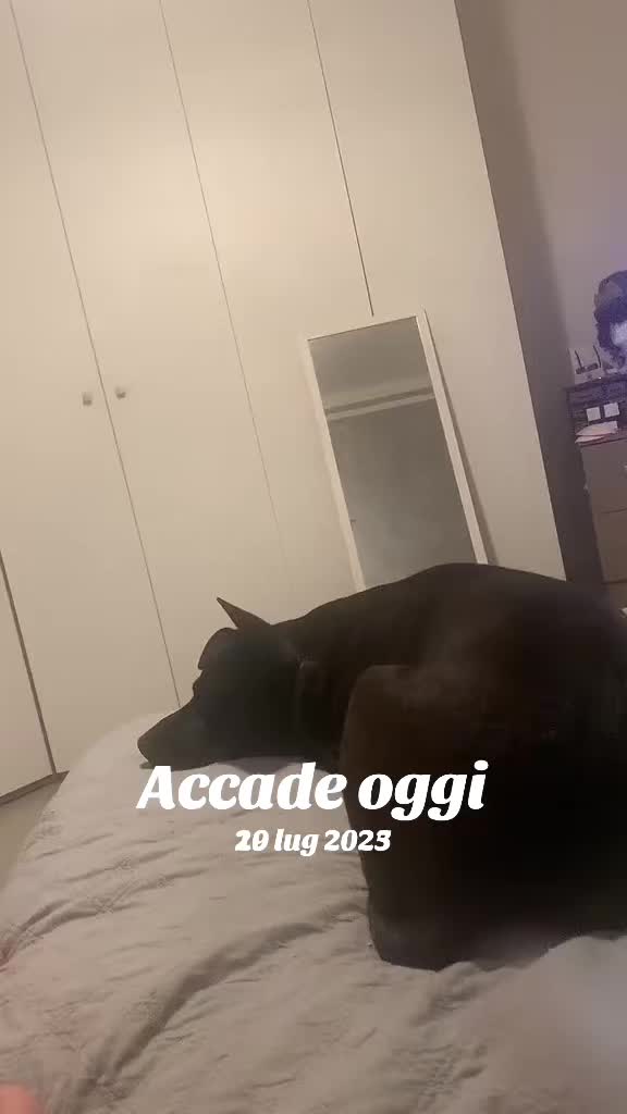 @nausica012