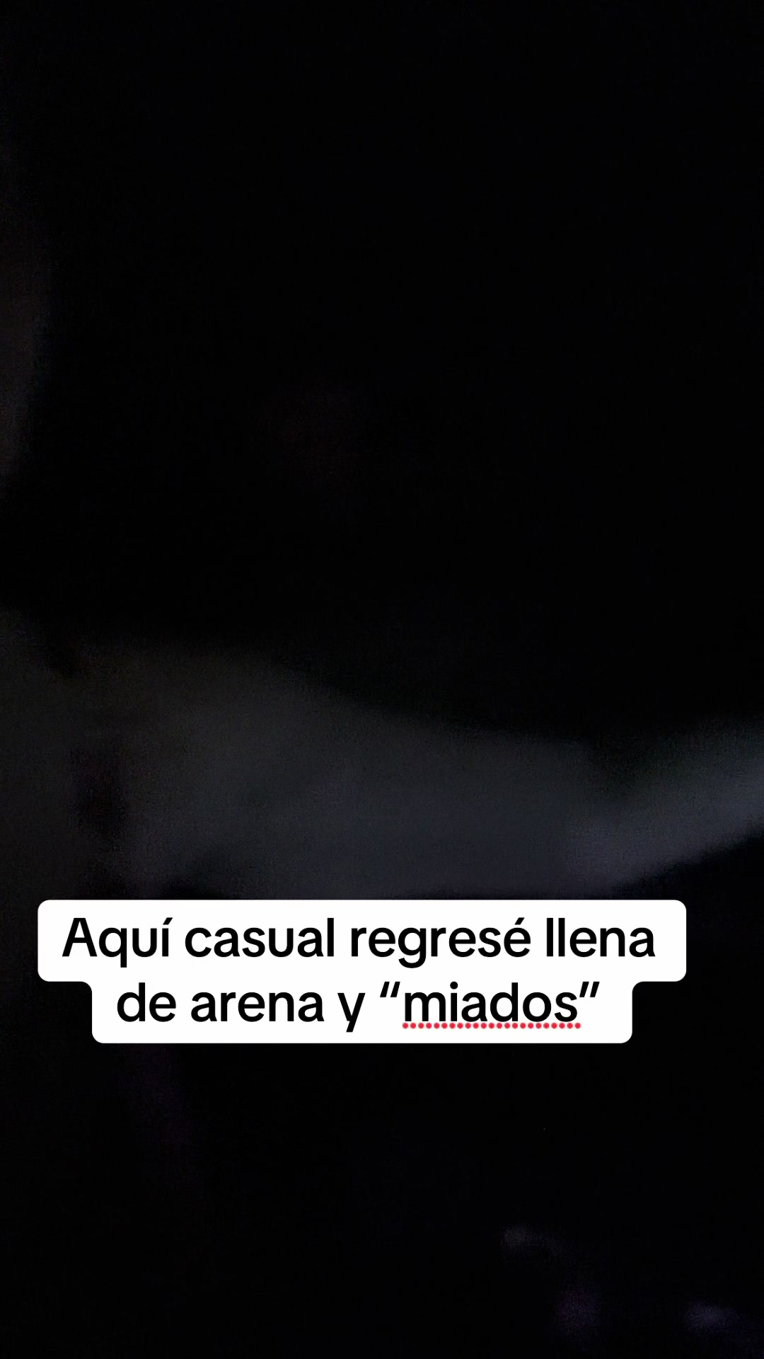 @Kaarina Trevi&ntilde;o