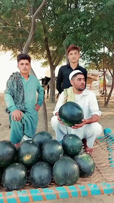 @عاقل خان باڑے آلہ