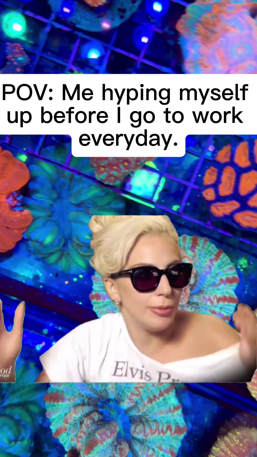@Cali_Coral_Connect_hxa