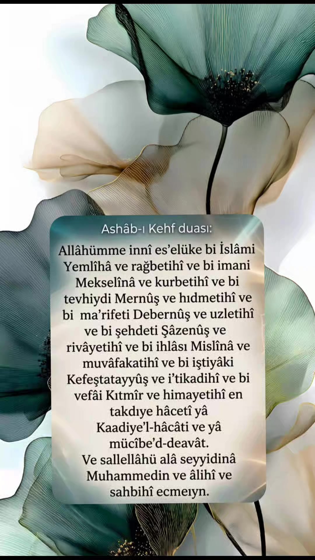 @hayat nereye gidiyor