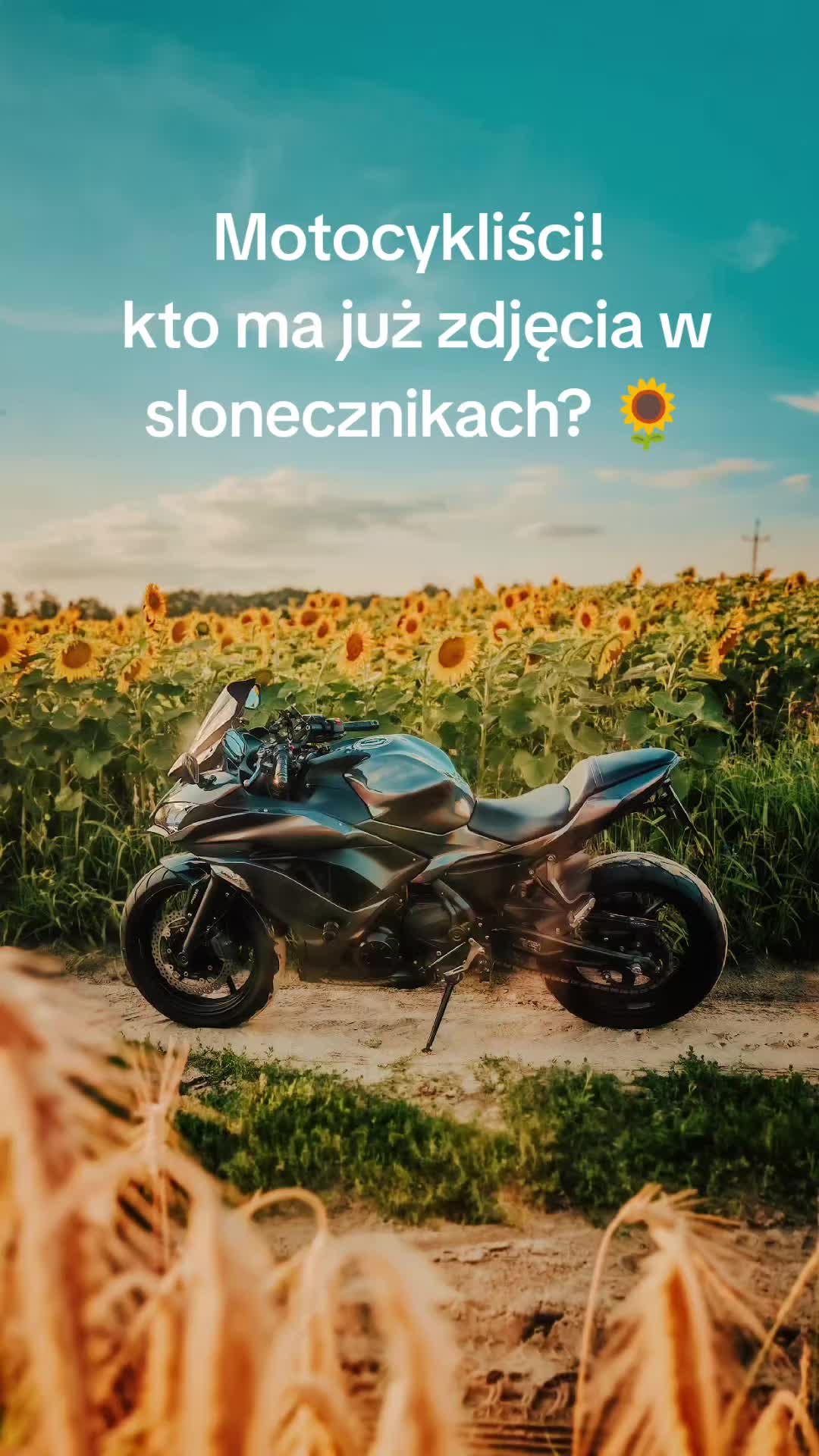 @gosiaherl