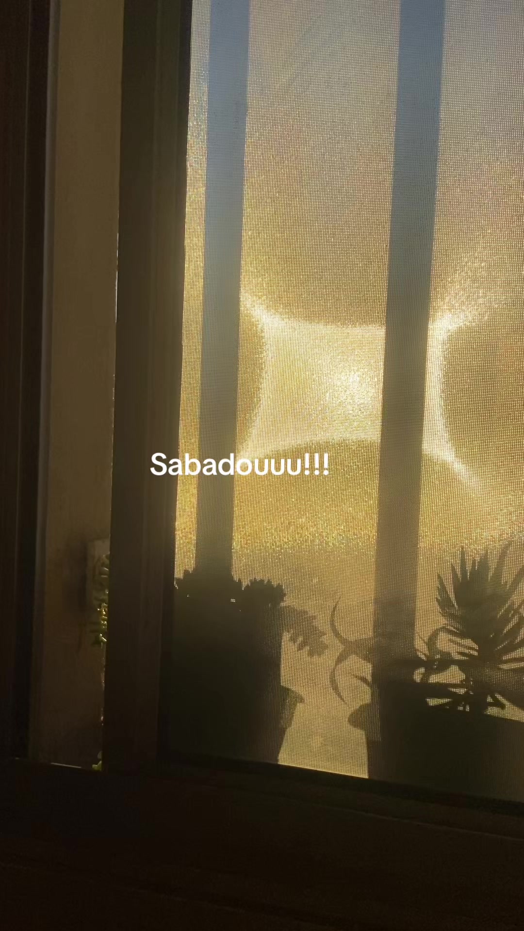 @Café da Jú☕🌺🤗🏡🙏🏻