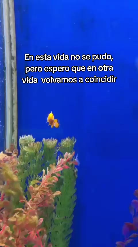 @andy_maria