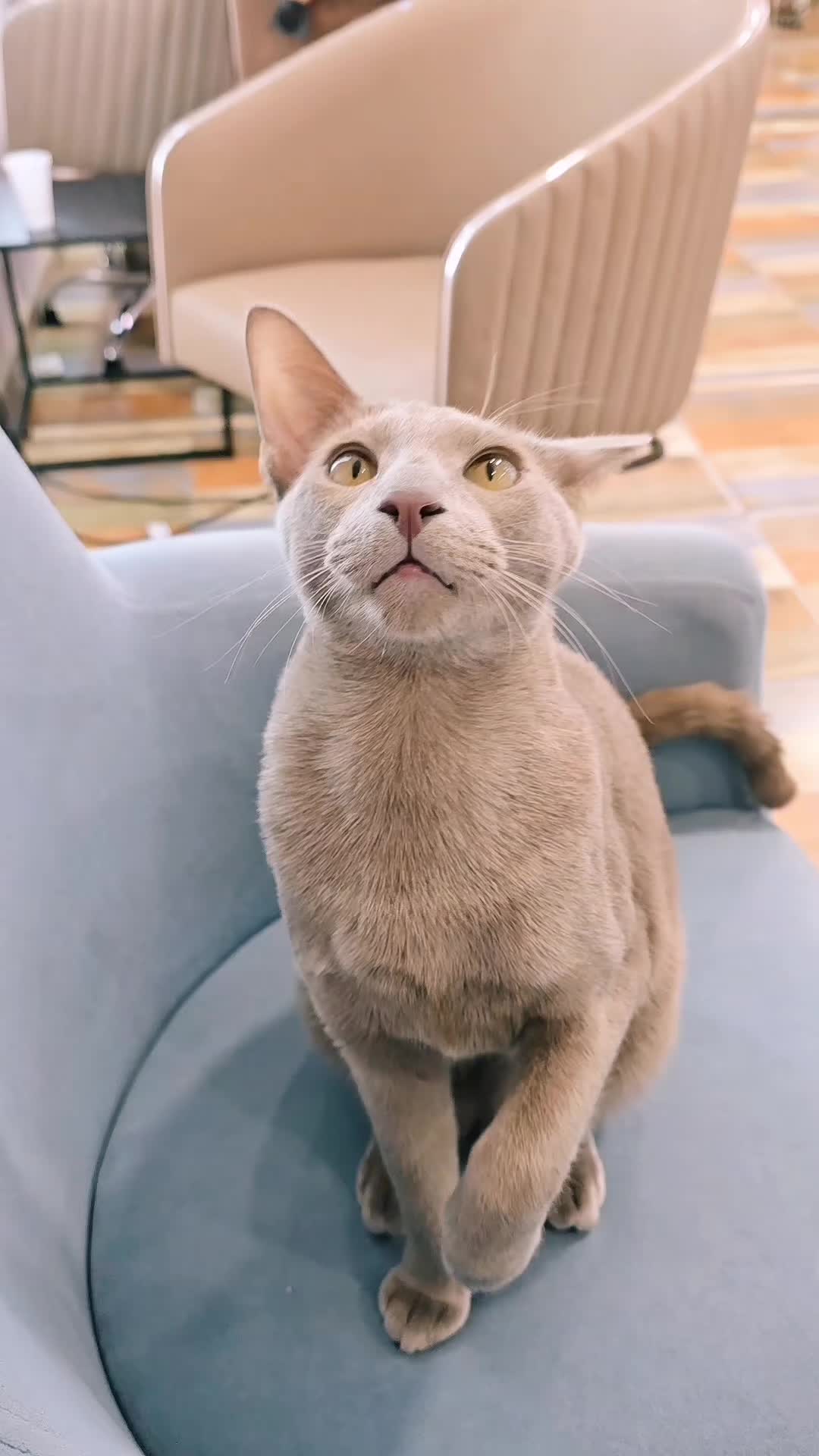@𝕧𝕒𝕤𝕚𝕝𝕚𝕤𝕒_𝕗𝕠𝕩