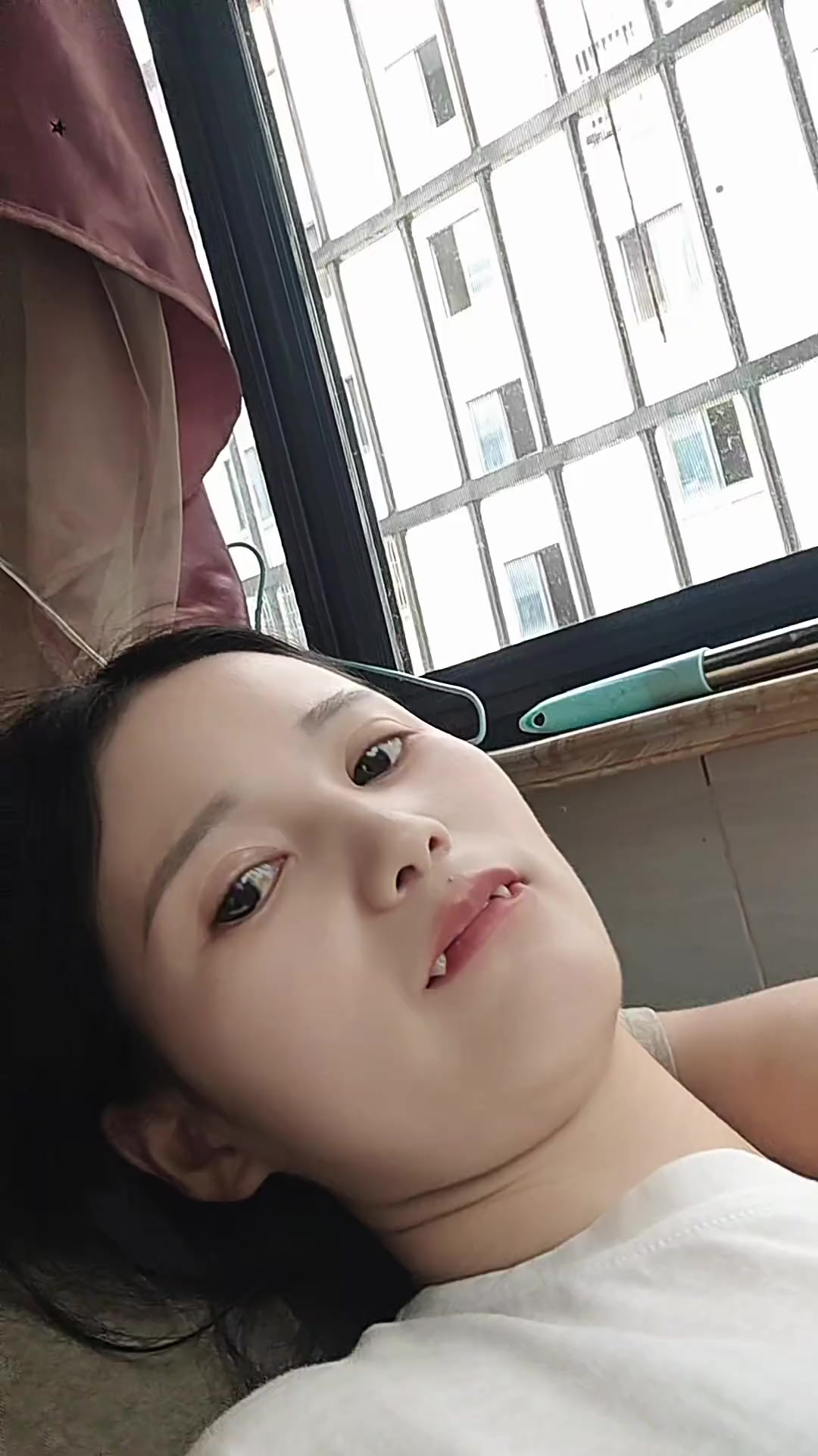 @法  務  部  矯  歪  署