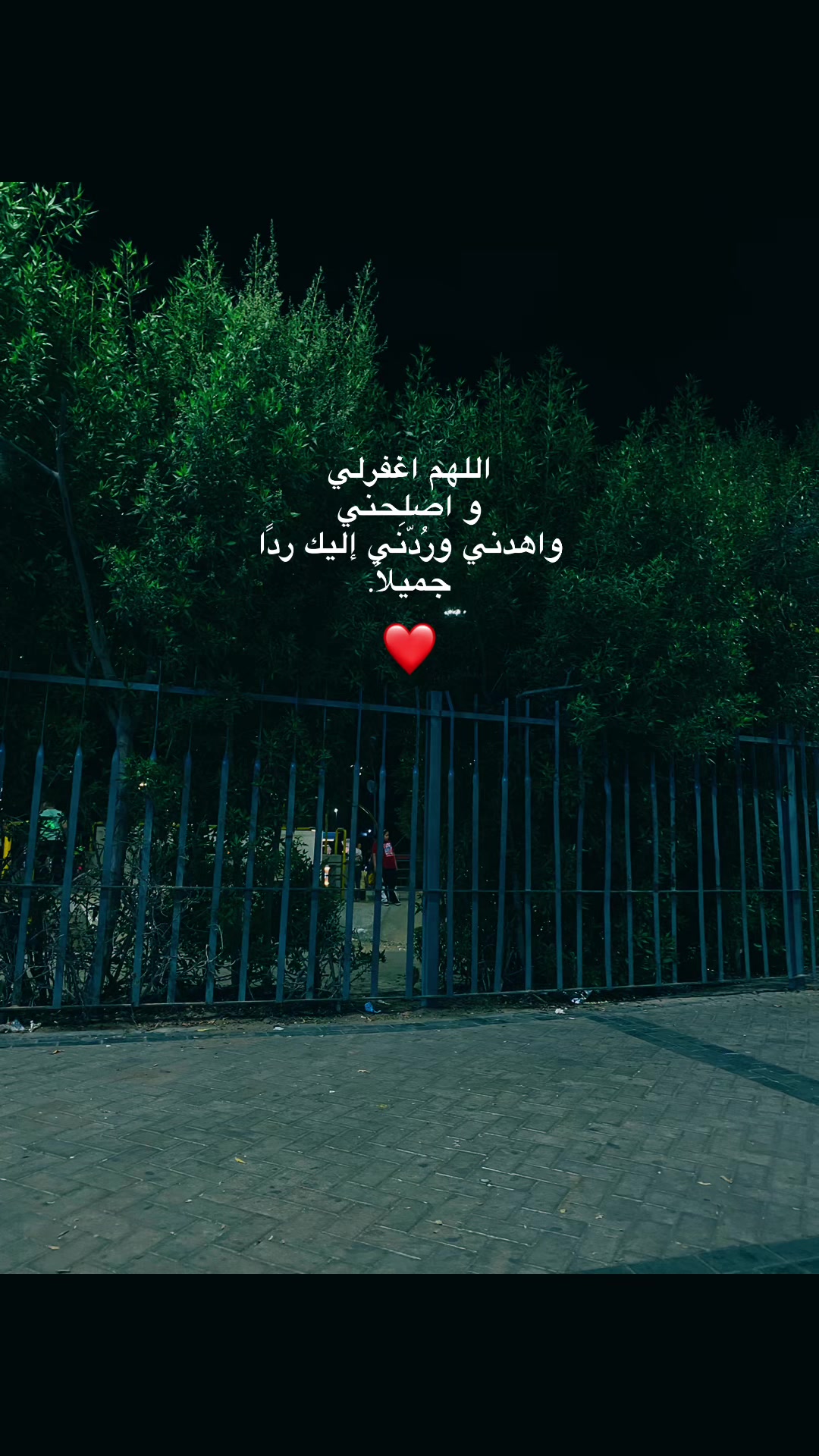 @shahd nassar