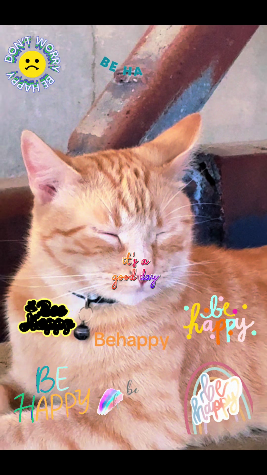 @Amri Gatitos