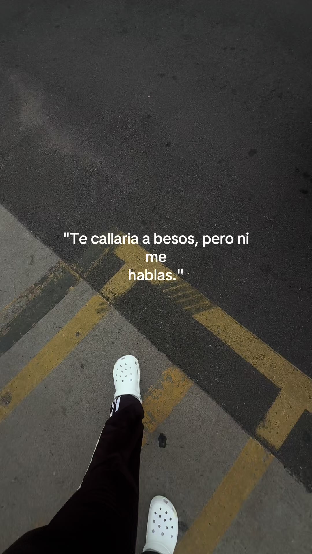 @giavibees