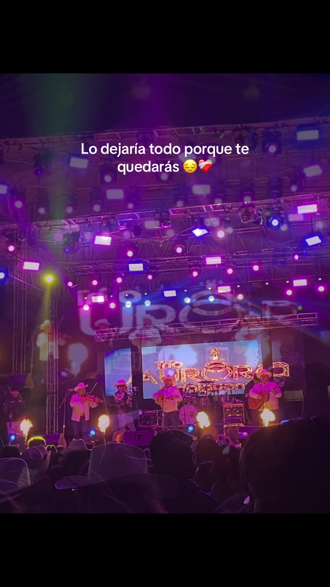 @lagonzalez702