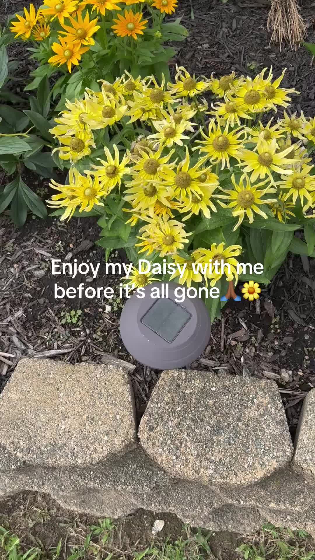 @prettypaulette66