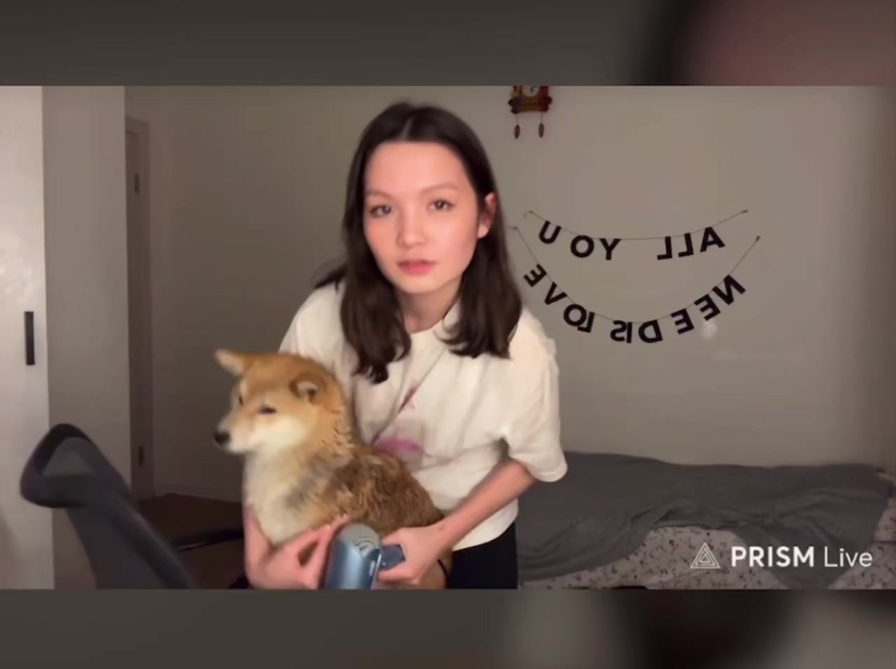 @агни мяу