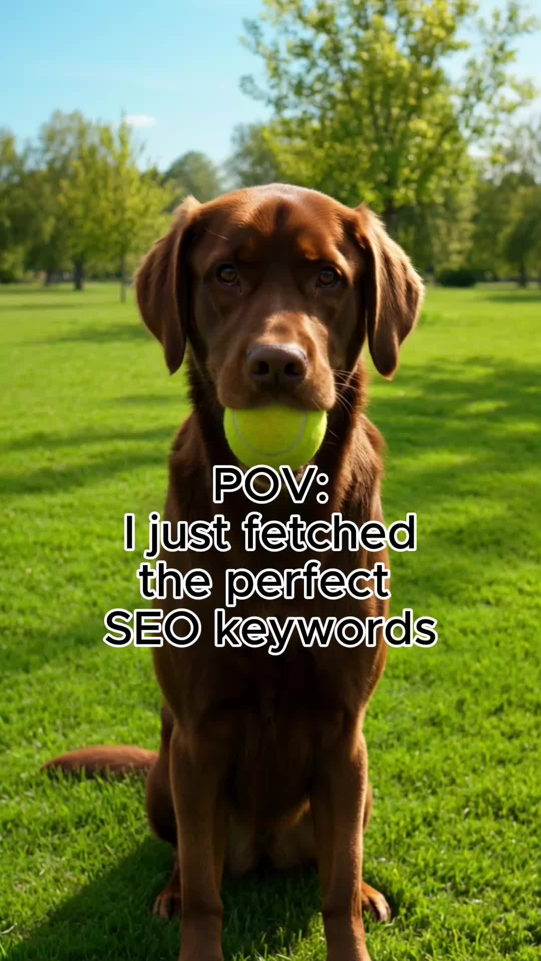 @SEO stuff