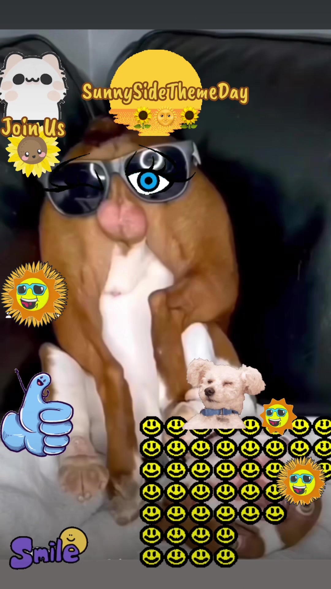 @Linda🌻🌞🌻