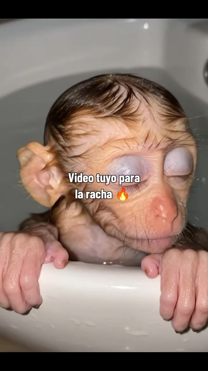 @RabPesito 🔥