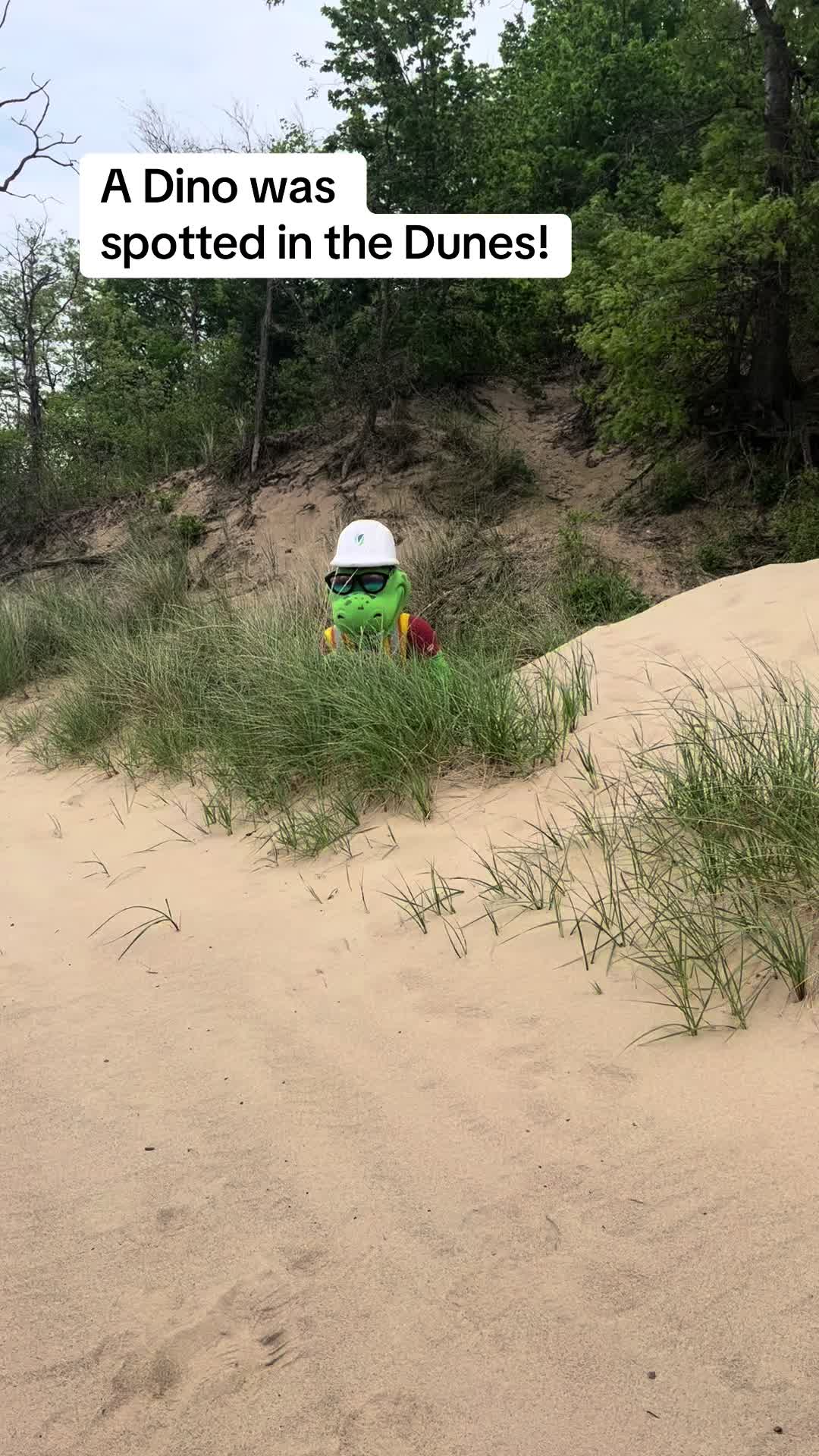 @DigTheDunes