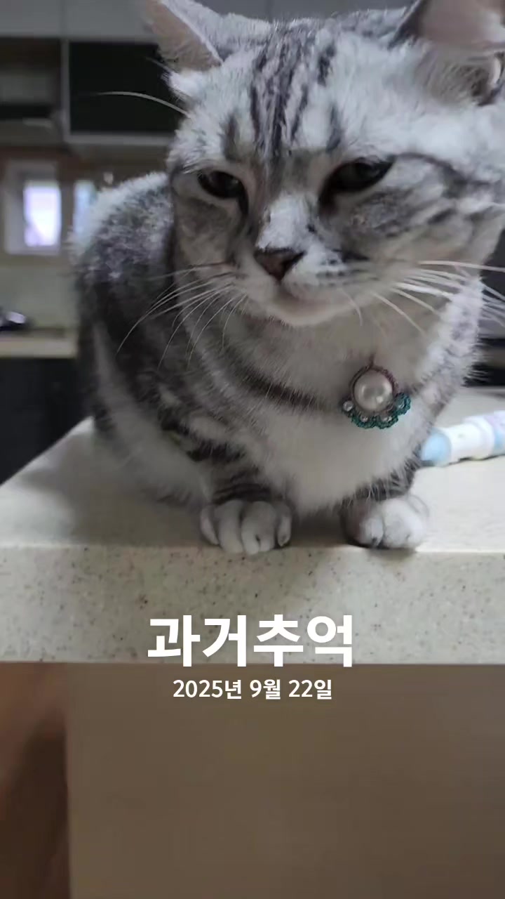 @박씨 거실