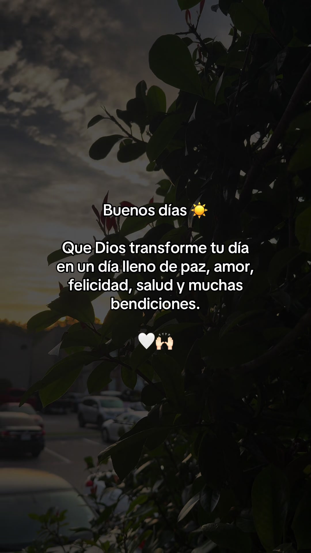 @🌻✨𝐸𝐿𝐼𝒵𝒜𝐵𝐸𝒯𝐻✨🌻