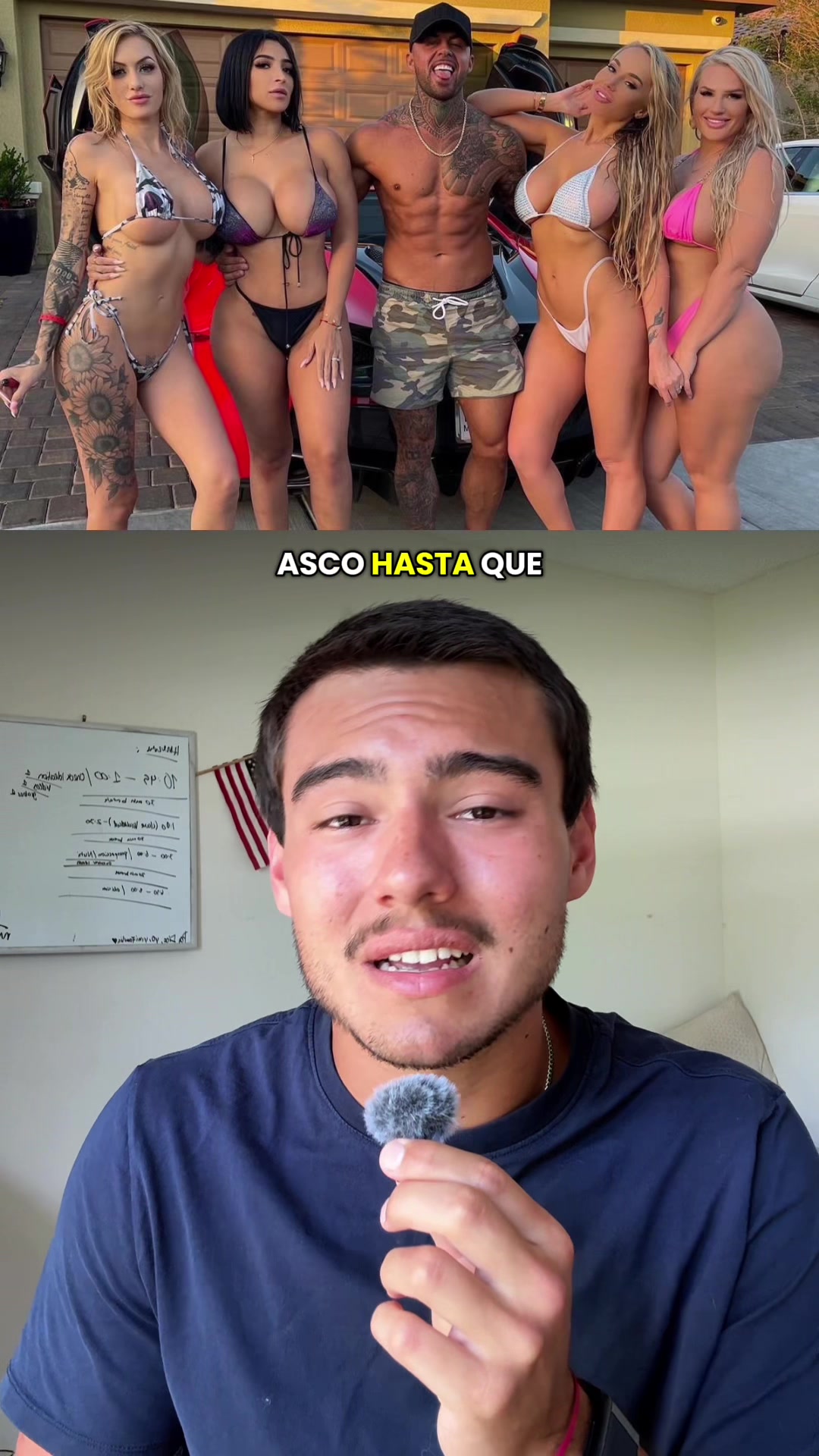 @mendiolaenusa
