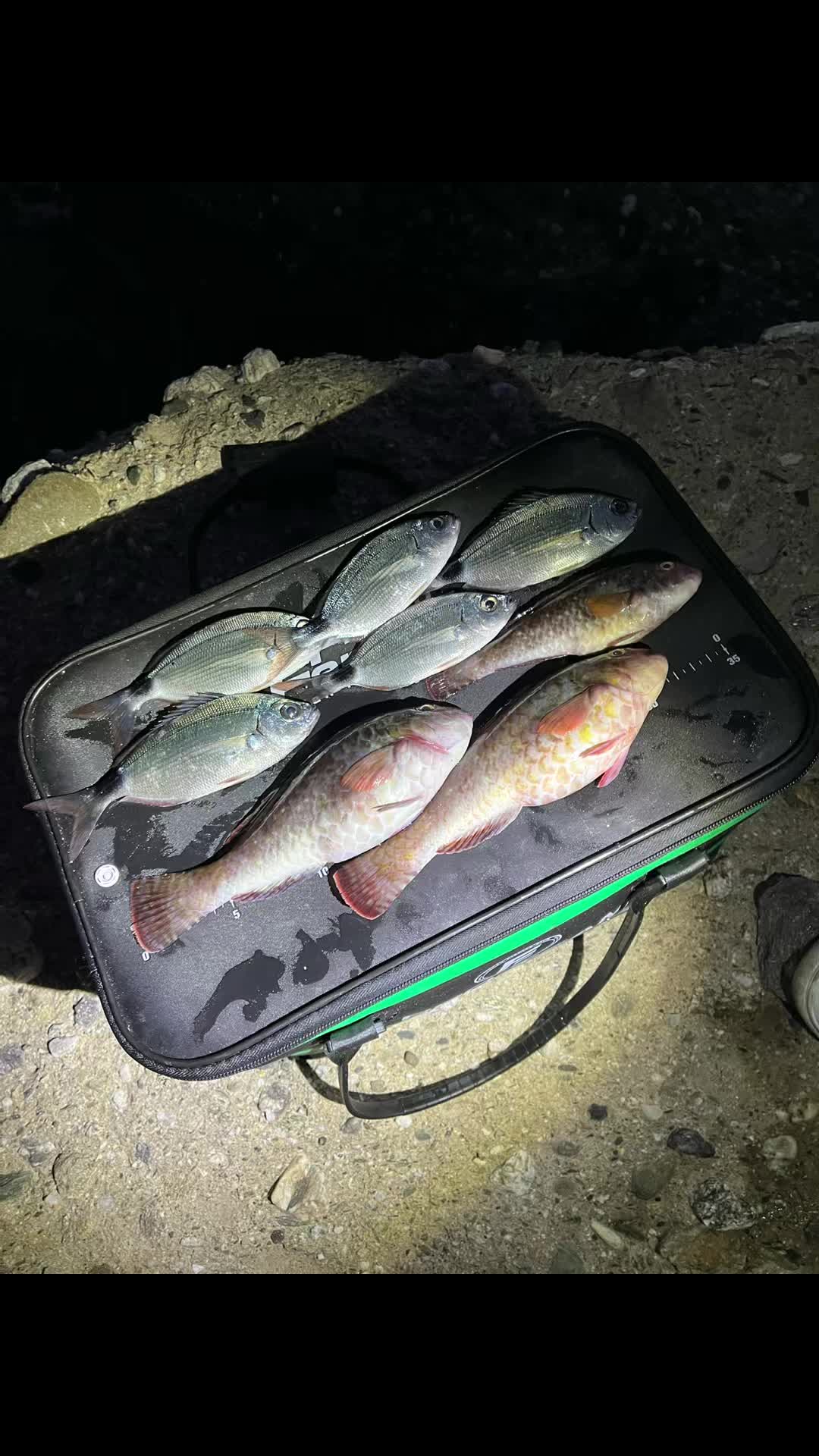 @Gabbo Fishing Catania🐟