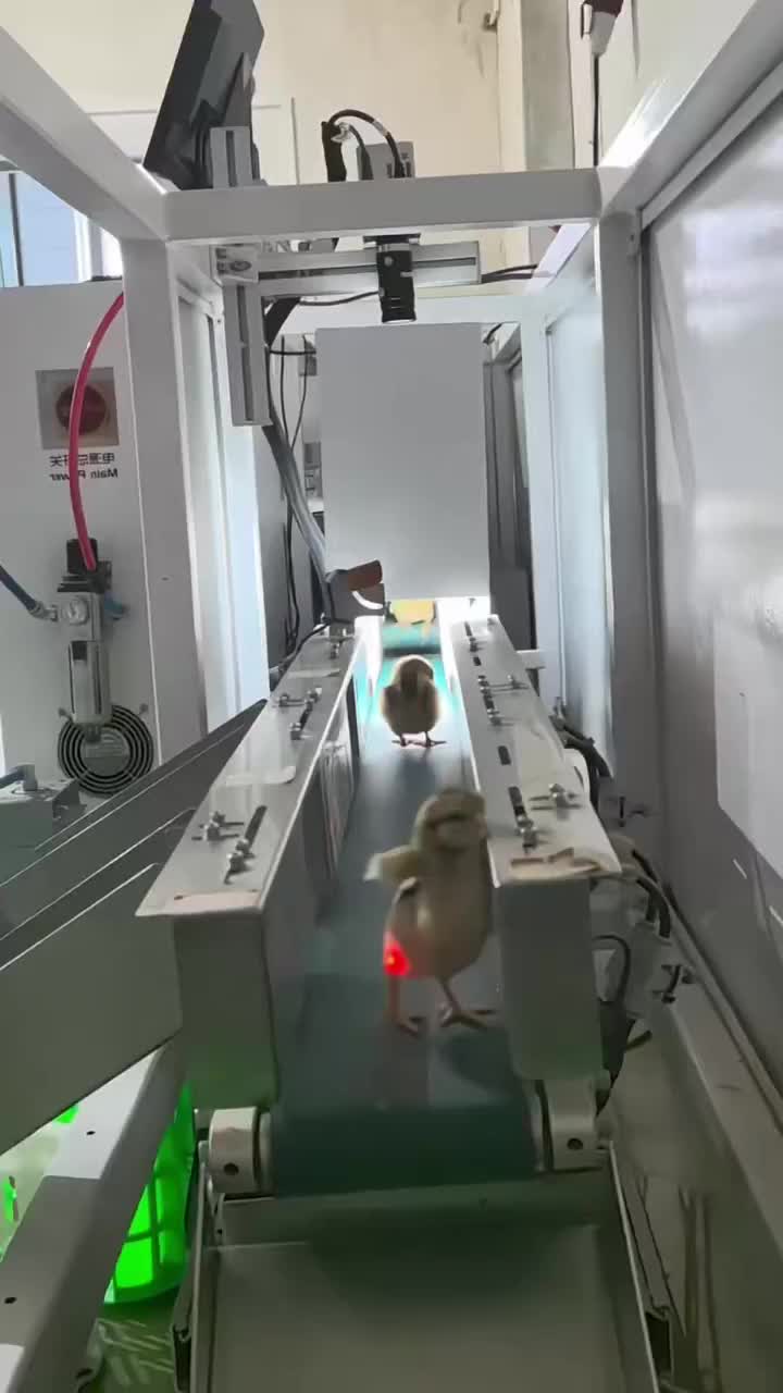 @INTERESTING VIDEO'S