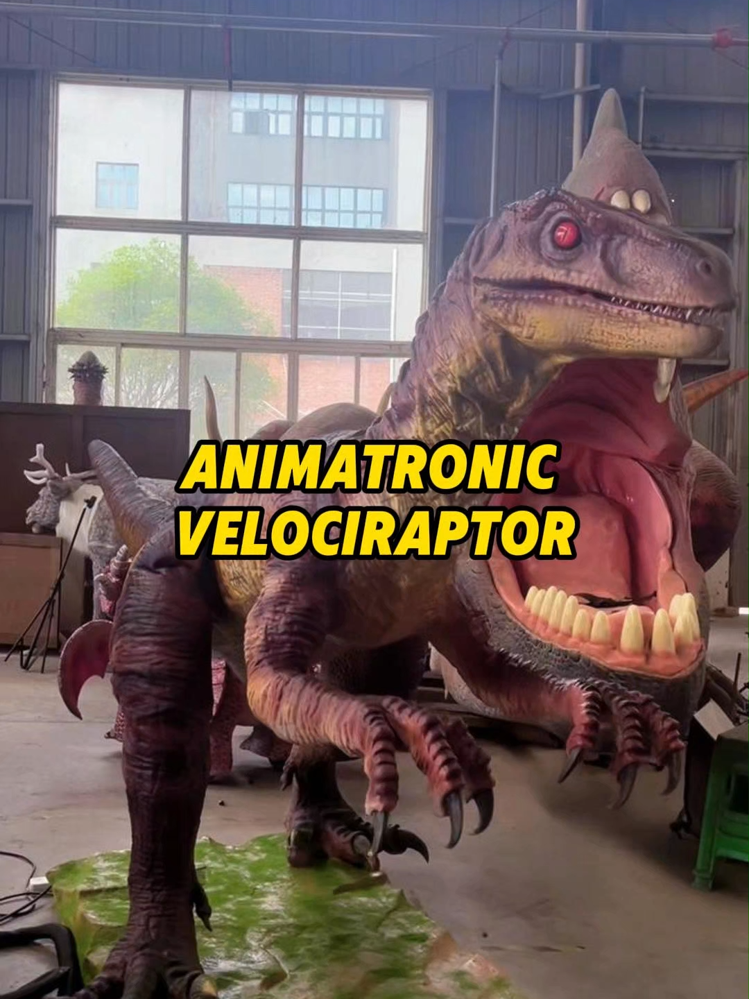 @ZGDinosaur