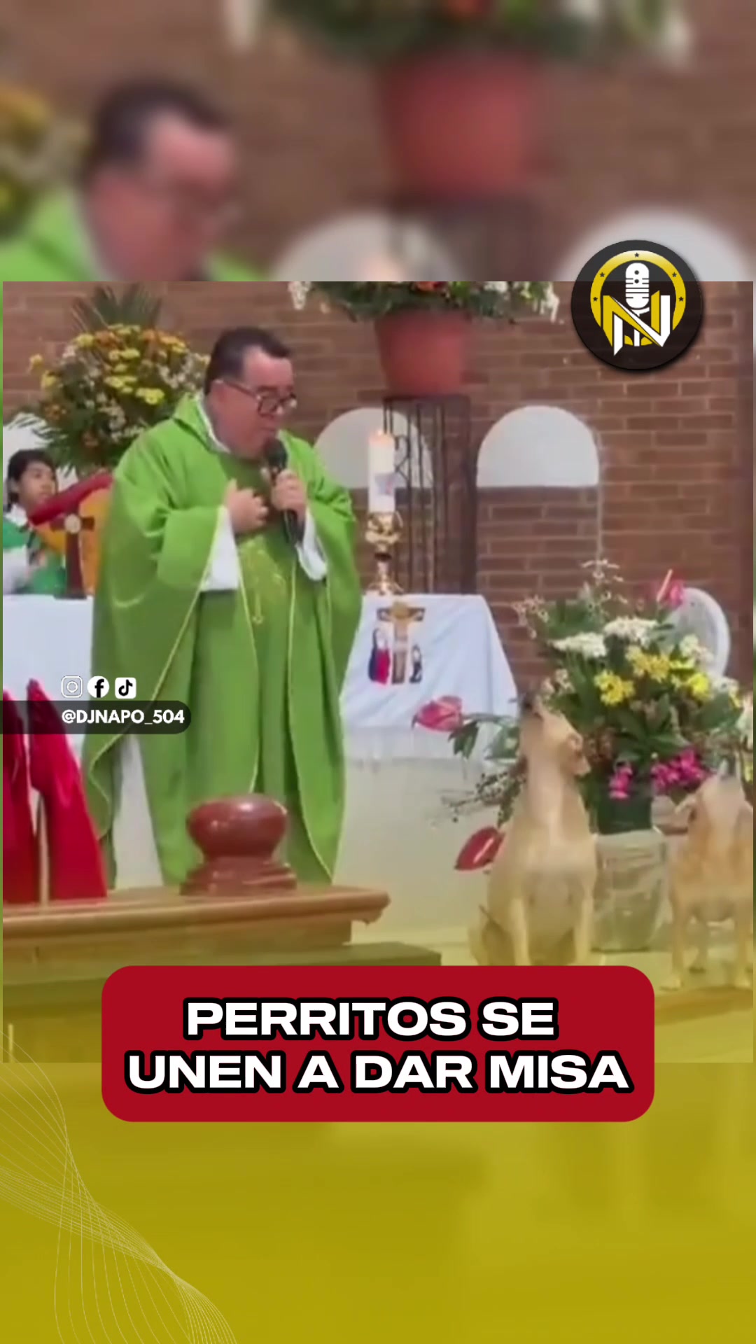 @NapoNoticias