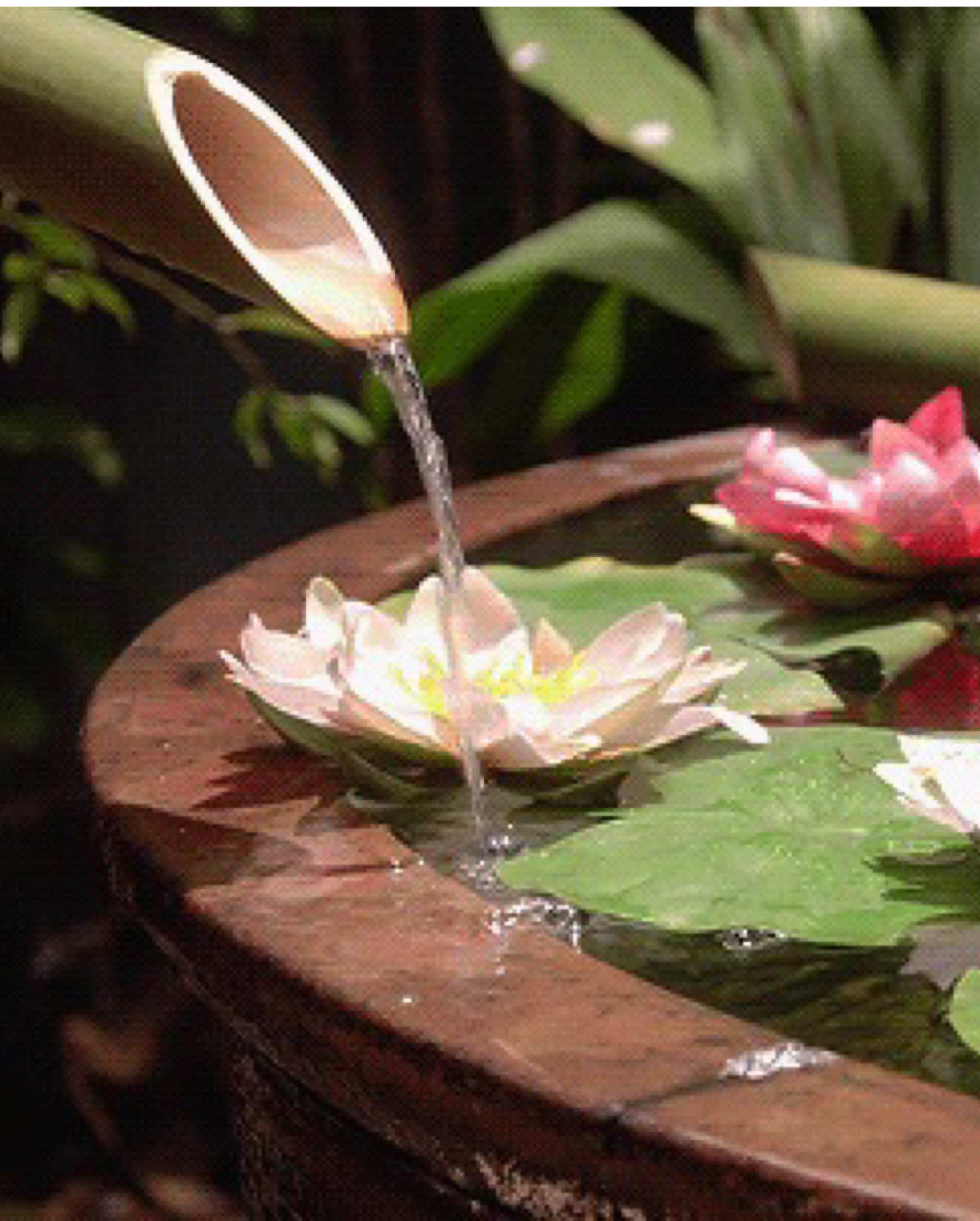 @🧚♀️