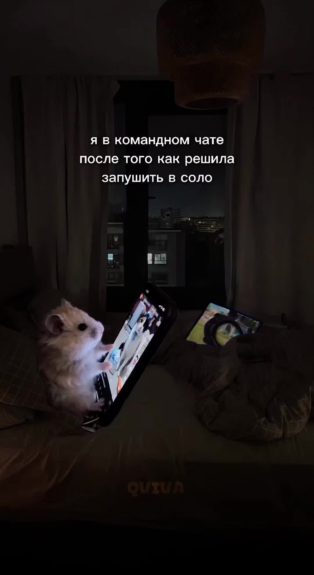 @QVIVA