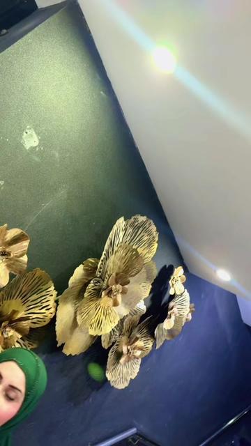 @Nargis official