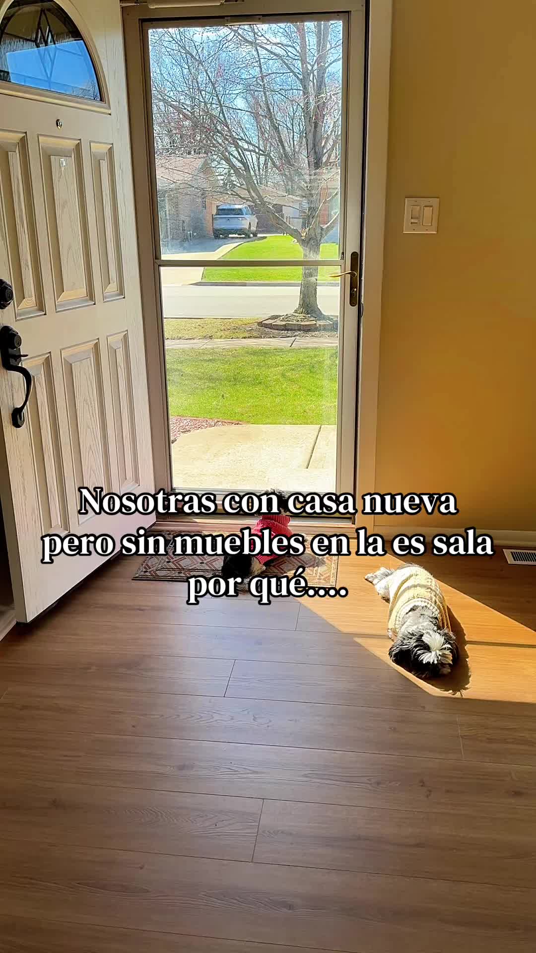 @DosMamás
