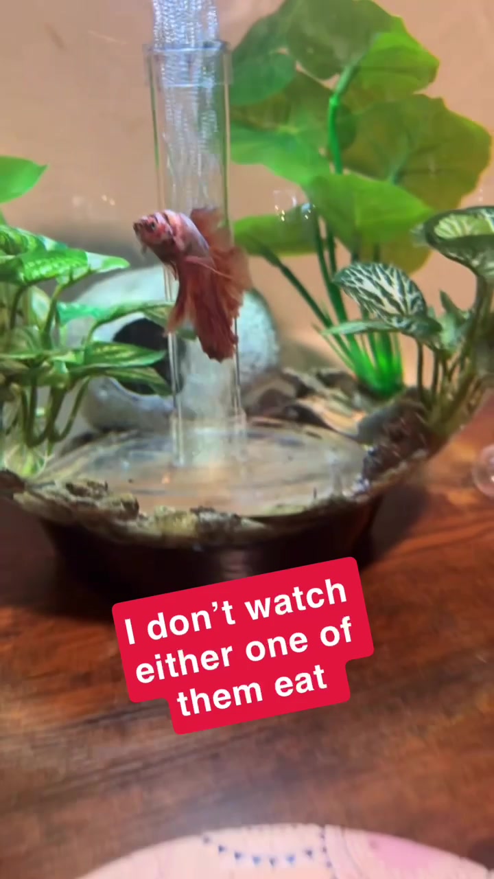 @Tater On TikTok