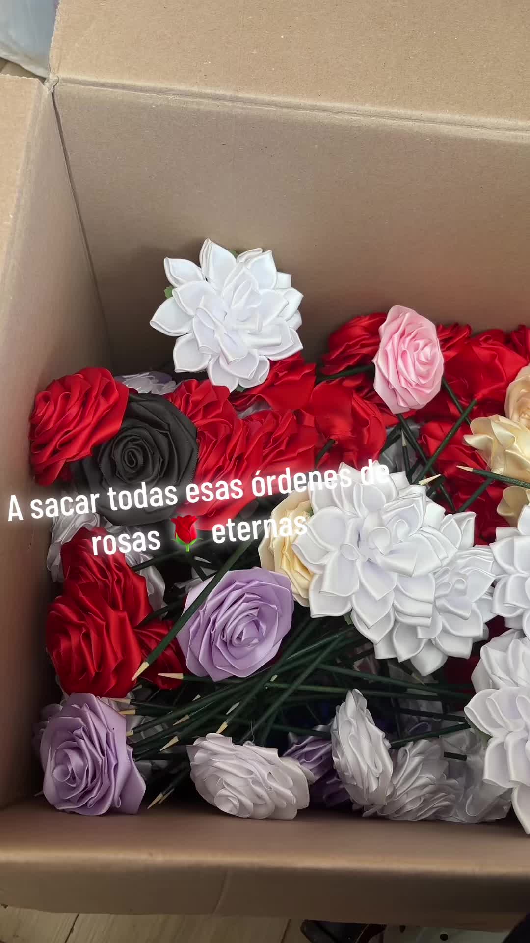 @Arregloscarolina