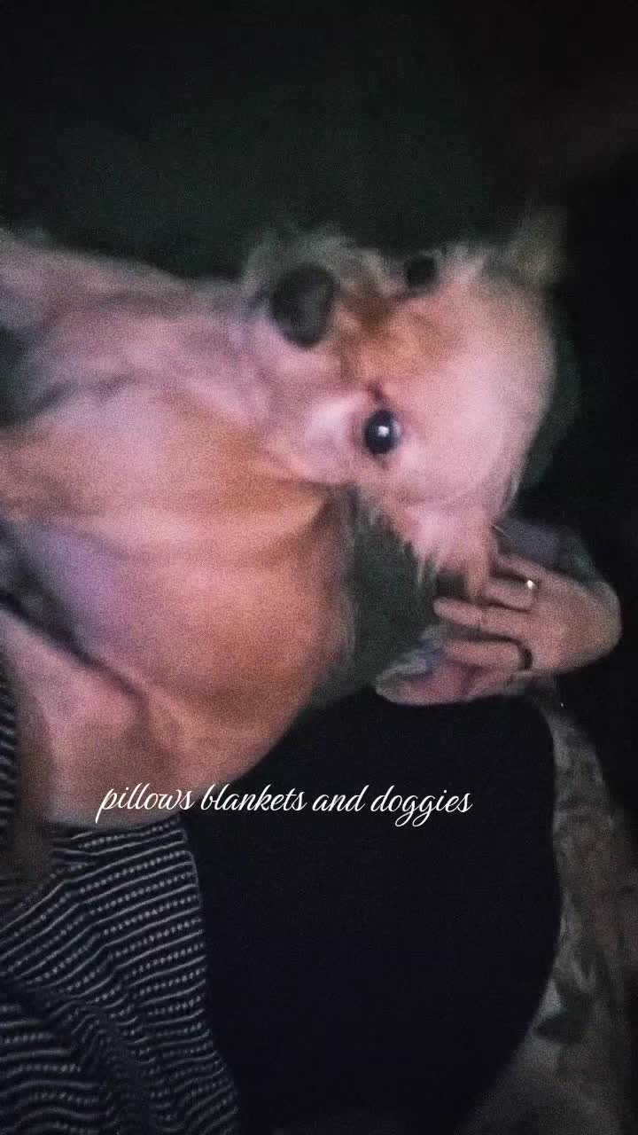 @creepbae