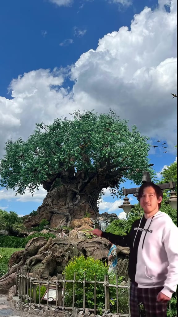 @Billy | Disney Dad Travels ๐ฐ
