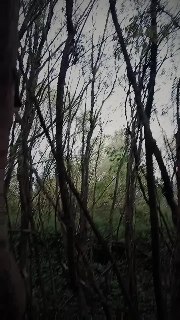 @Ржавый гроб ⚰️