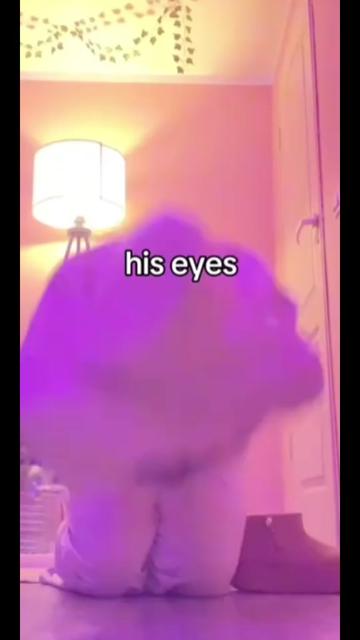 @lexi@223