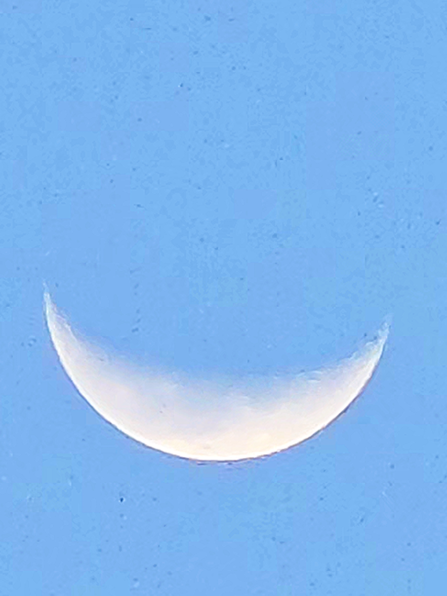 @✨️𝚂𝚊𝚖🌙✨️