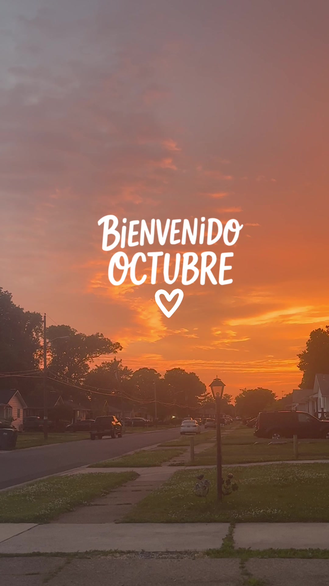 @L U P I T A🧡